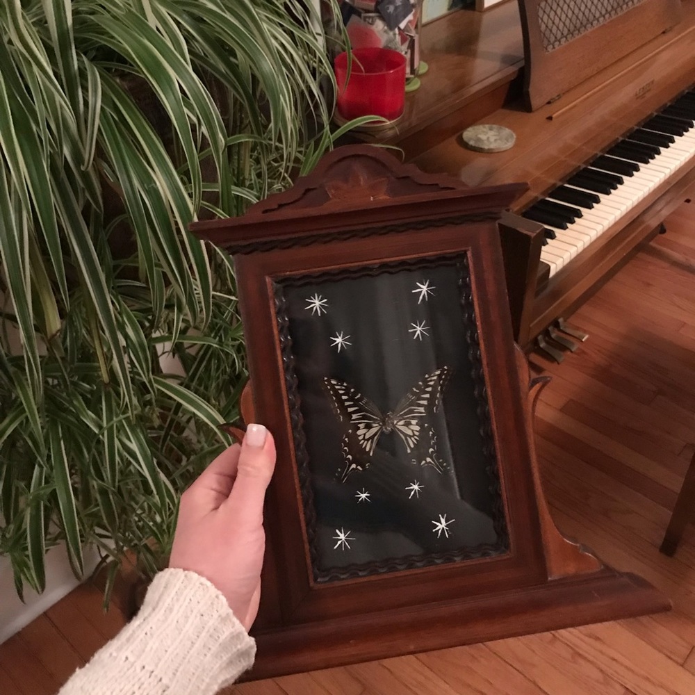 Pressed Butterfly in Vintage frame